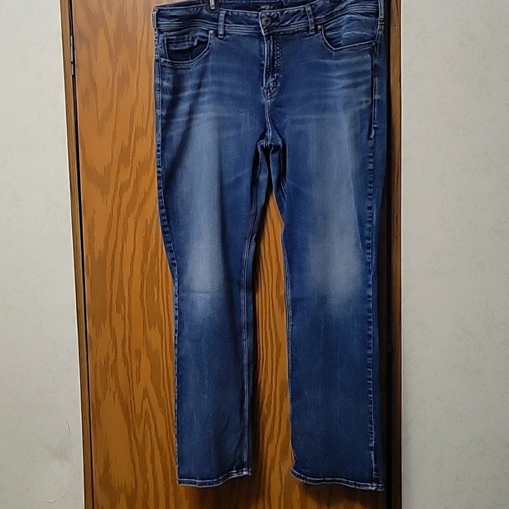 Plus SZ Silver Jeans